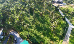 PRIME HILLTOP LAND IN MEANAM SOI 1